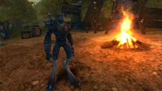 Kotaku writes about Spellborn